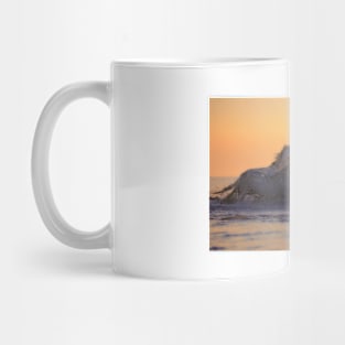 Horses Running through Ocean Mug